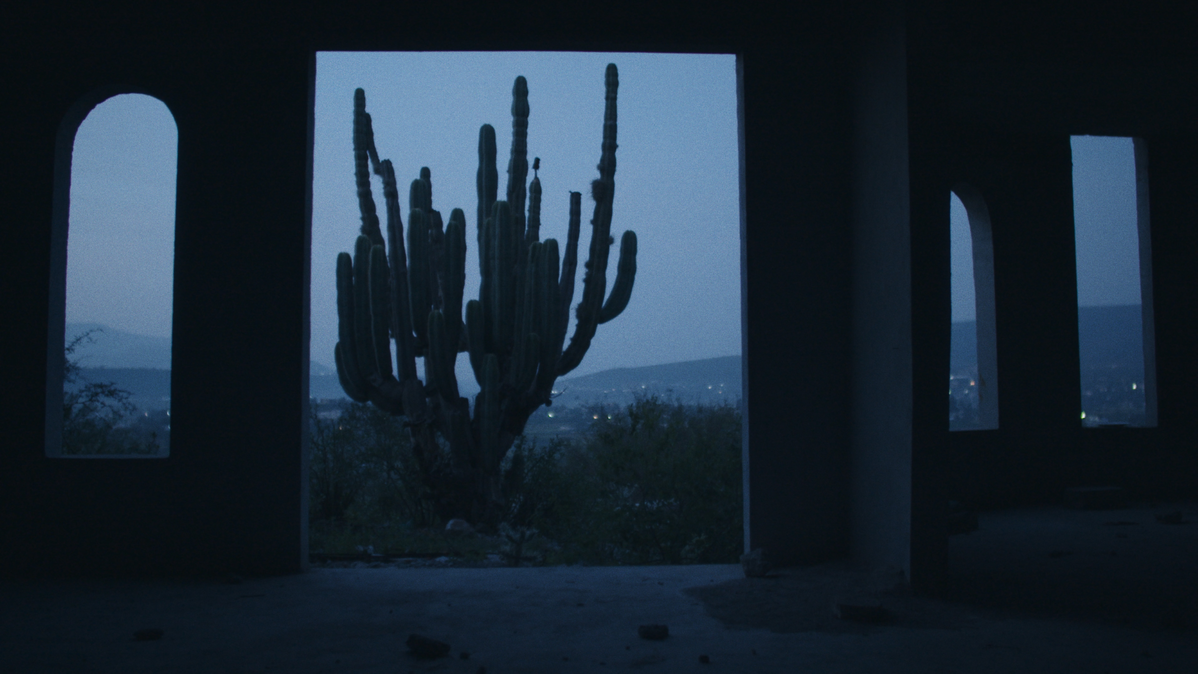 Night of the Coyotes - Trailer