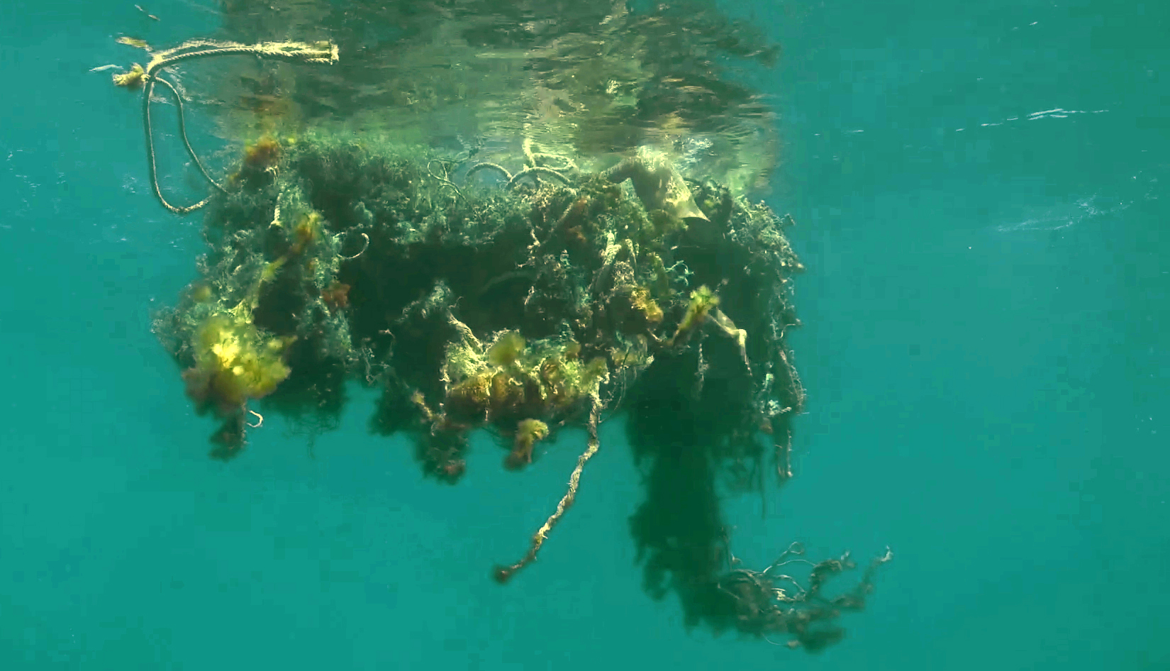 All of Our Heartbeats are Connected Through Exploding Stars - Trailer