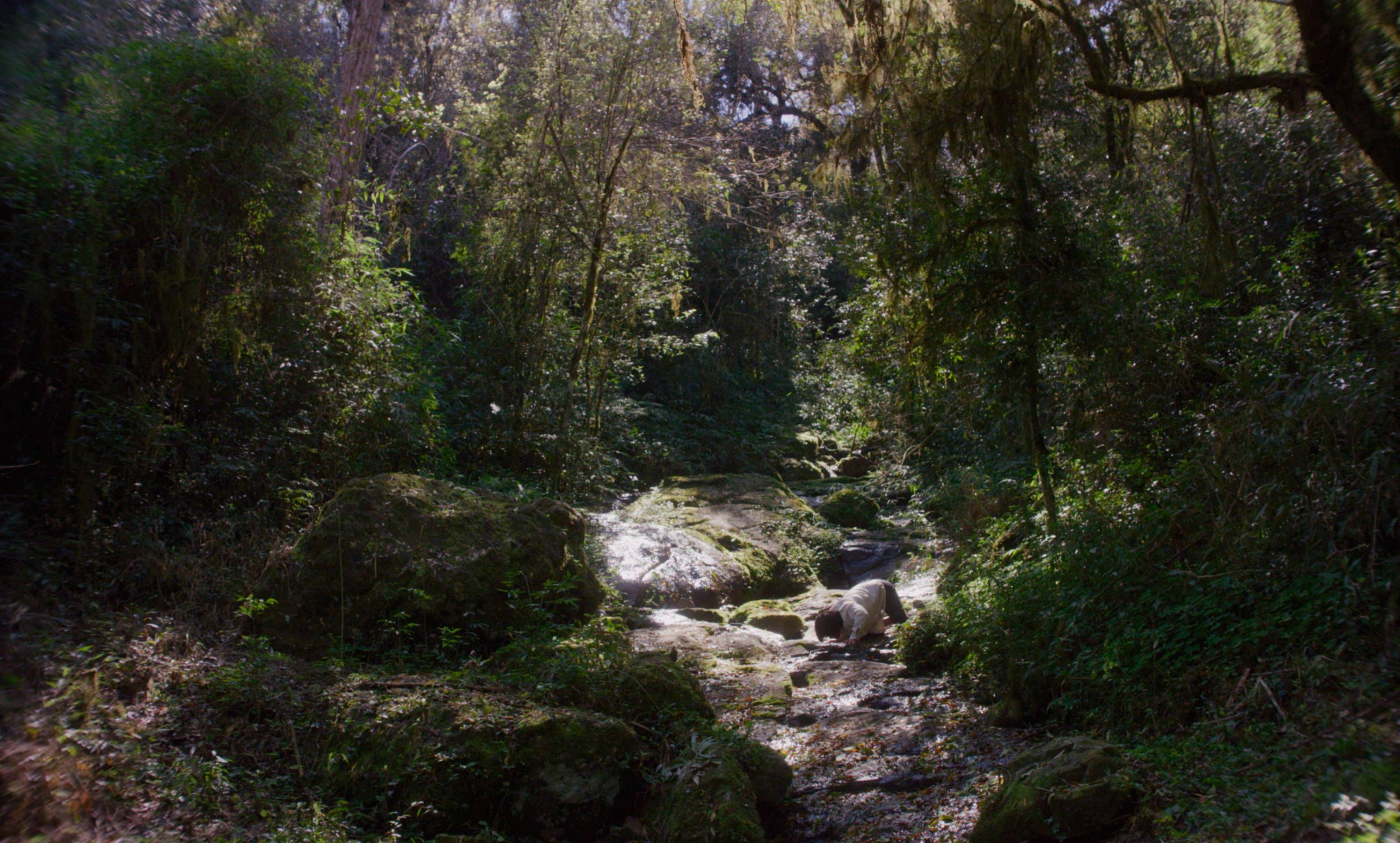 Canuto's Transformation - Trailer