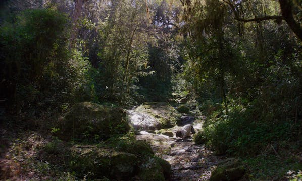 Canuto's Transformation - Trailer