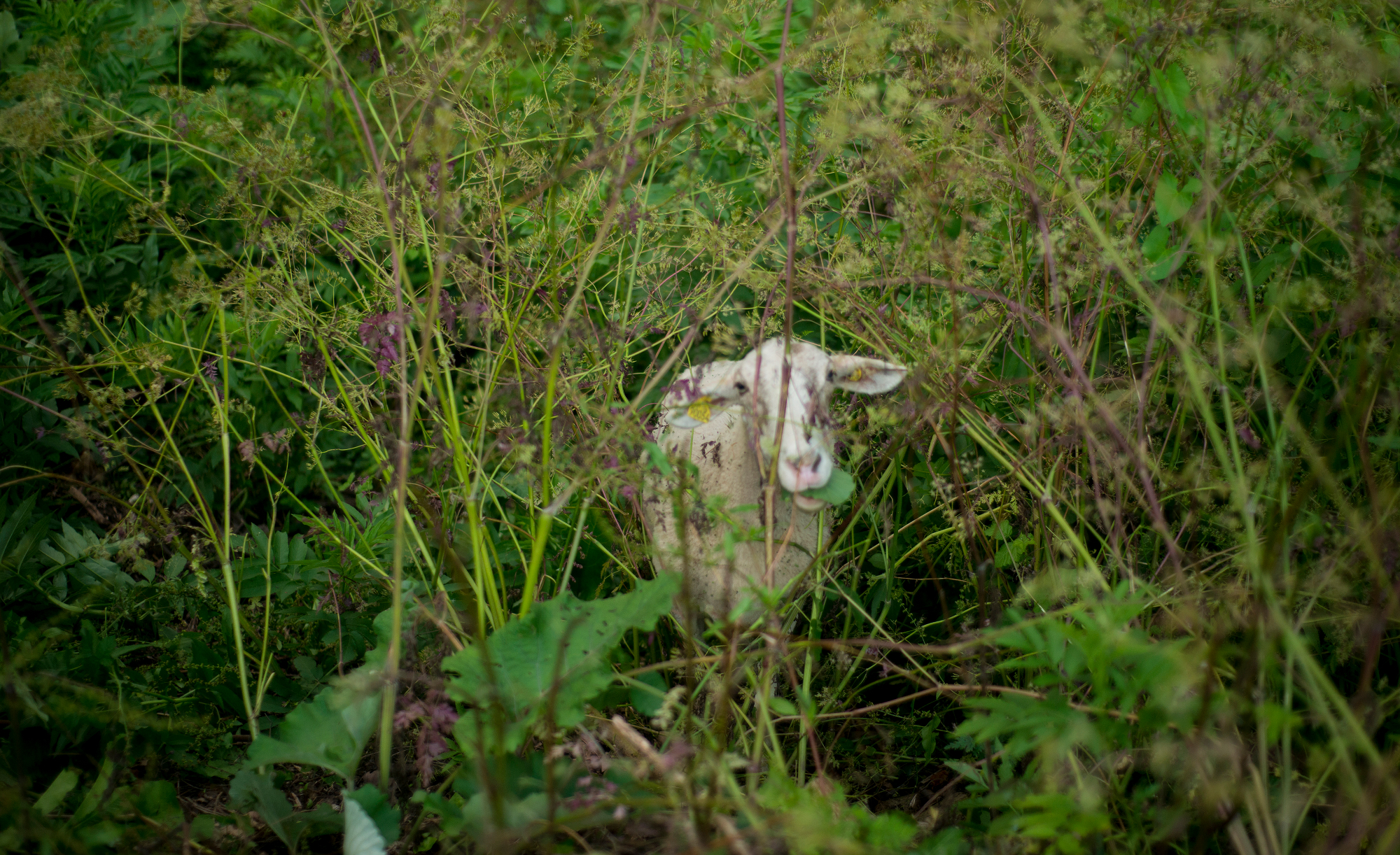 Considering the Ends