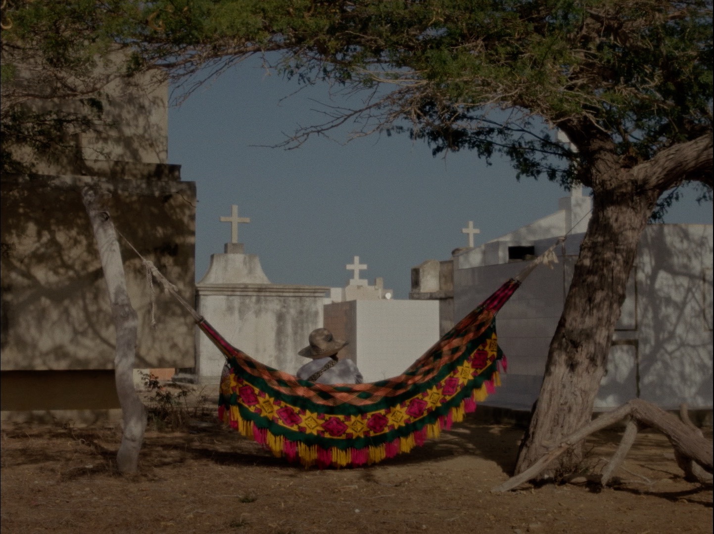 Dreams Travel With the Wind