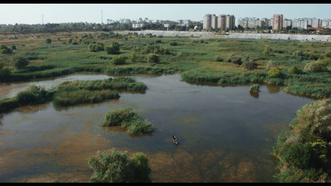 The Delta of Bucharest