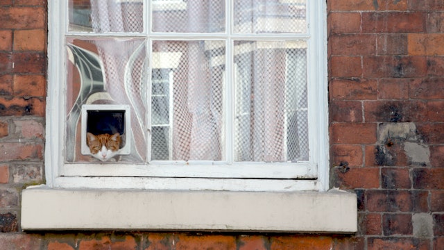 Liverpool Story - Trailer