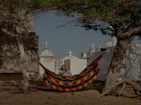 Jan 9 - Dreams Travel With the Wind