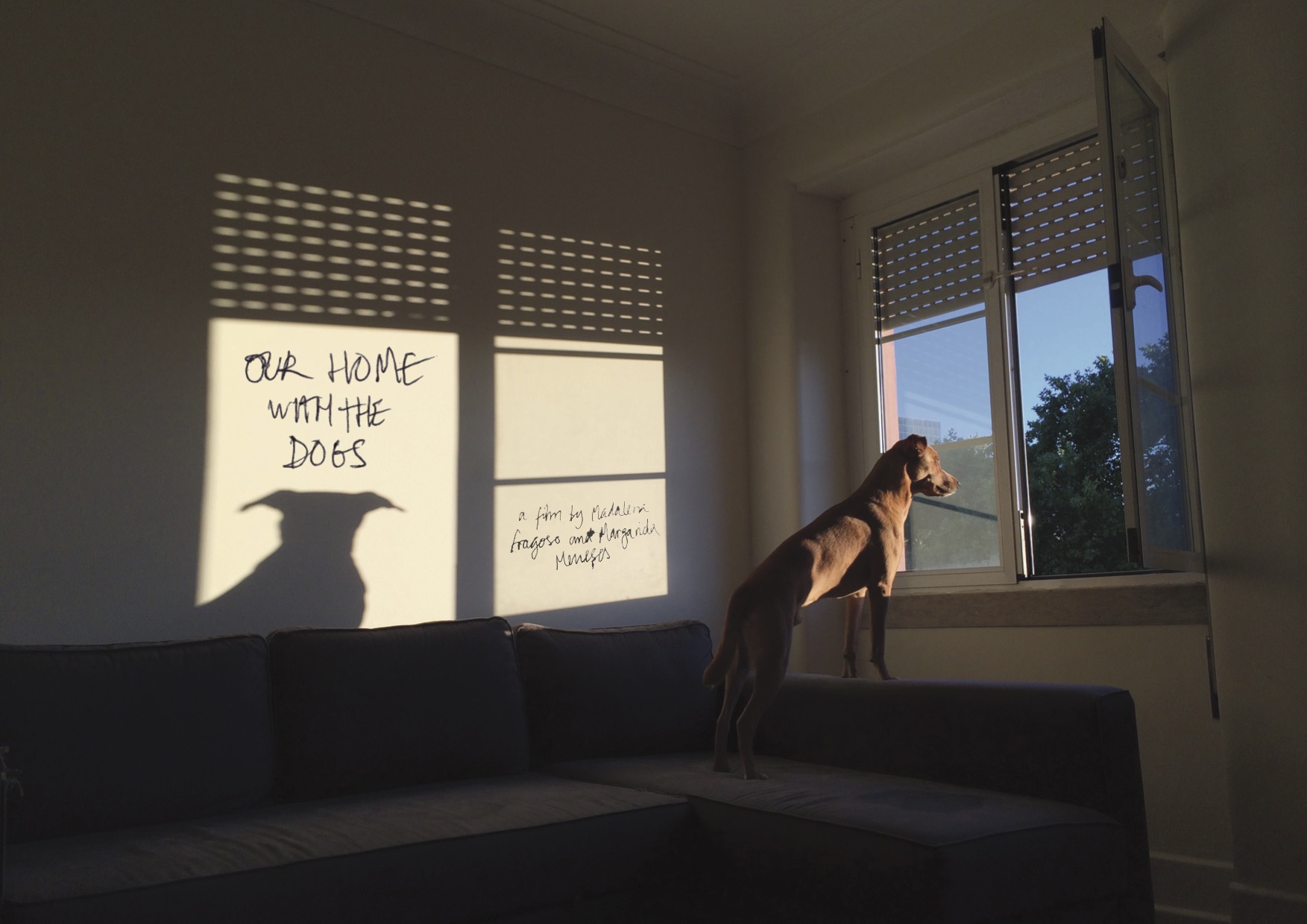 Postcard - Our Home with the Dogs