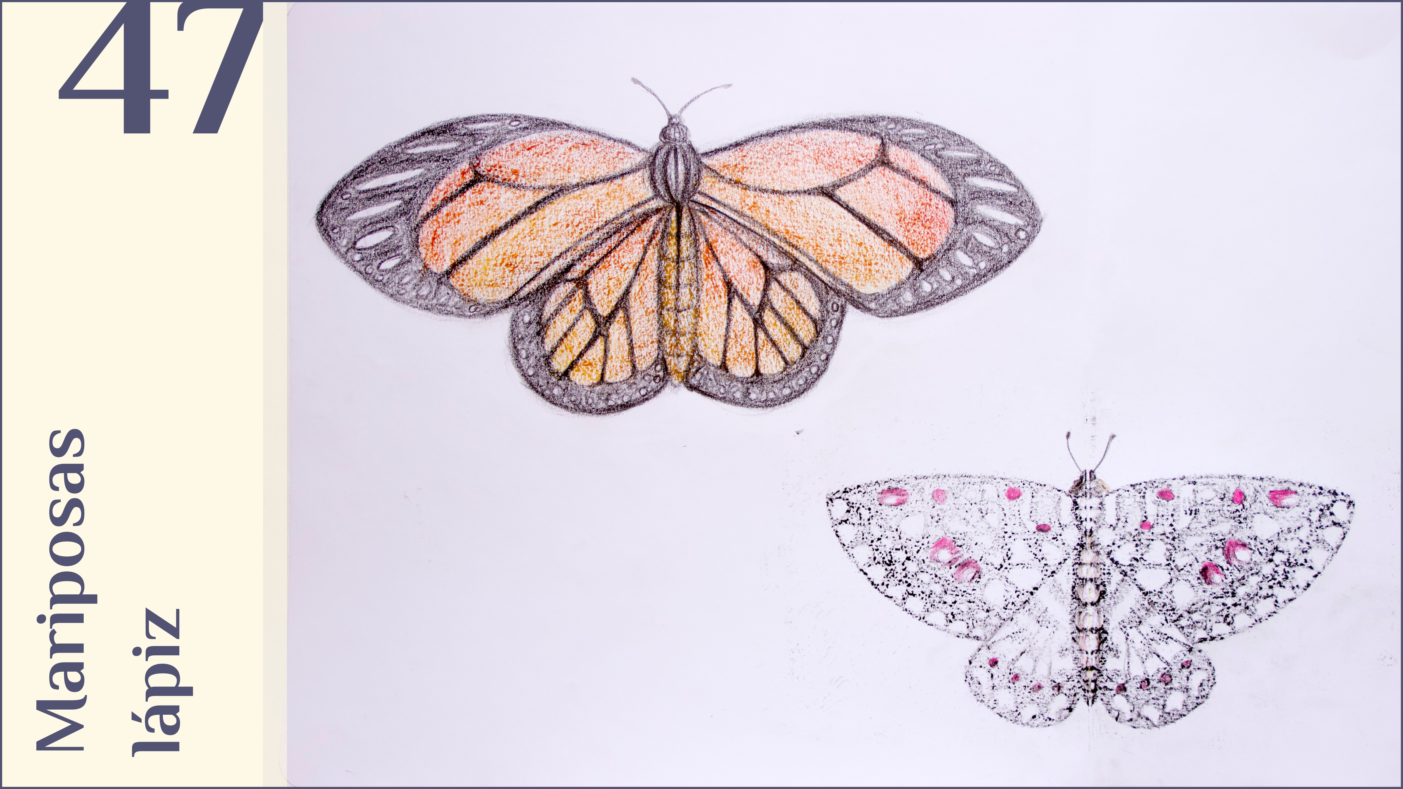47. Mariposas, lápiz