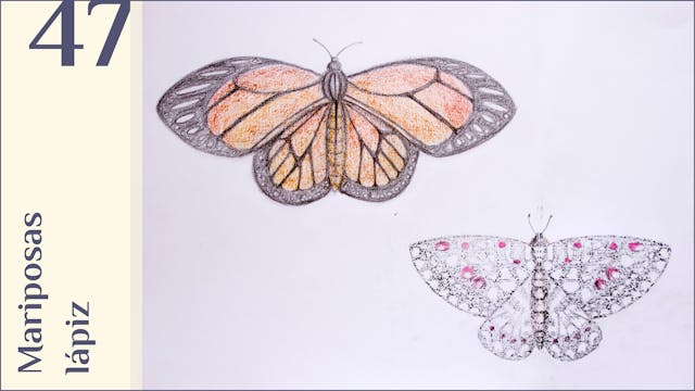 47. Mariposas, lápiz