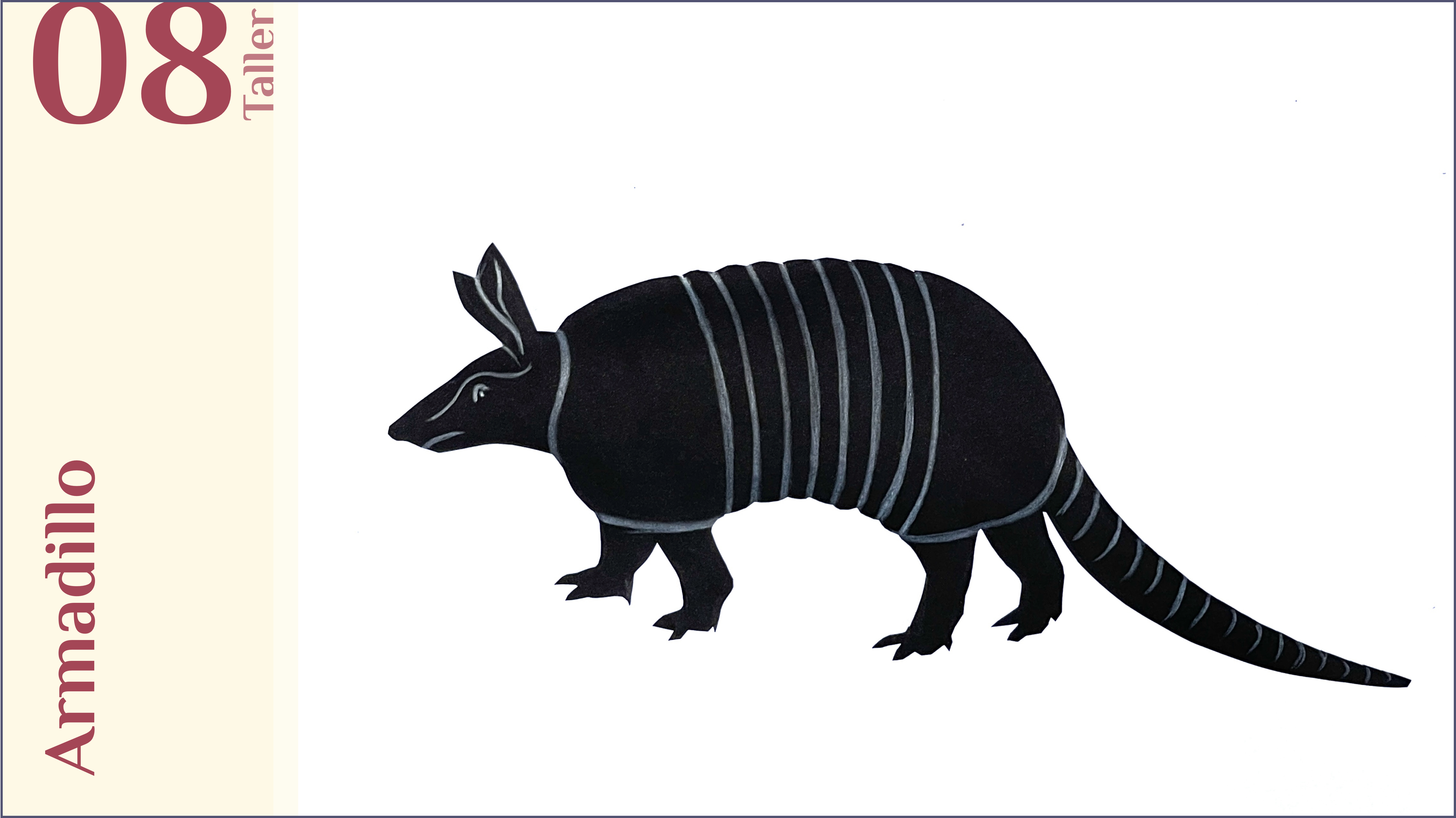  T08. Armadillo