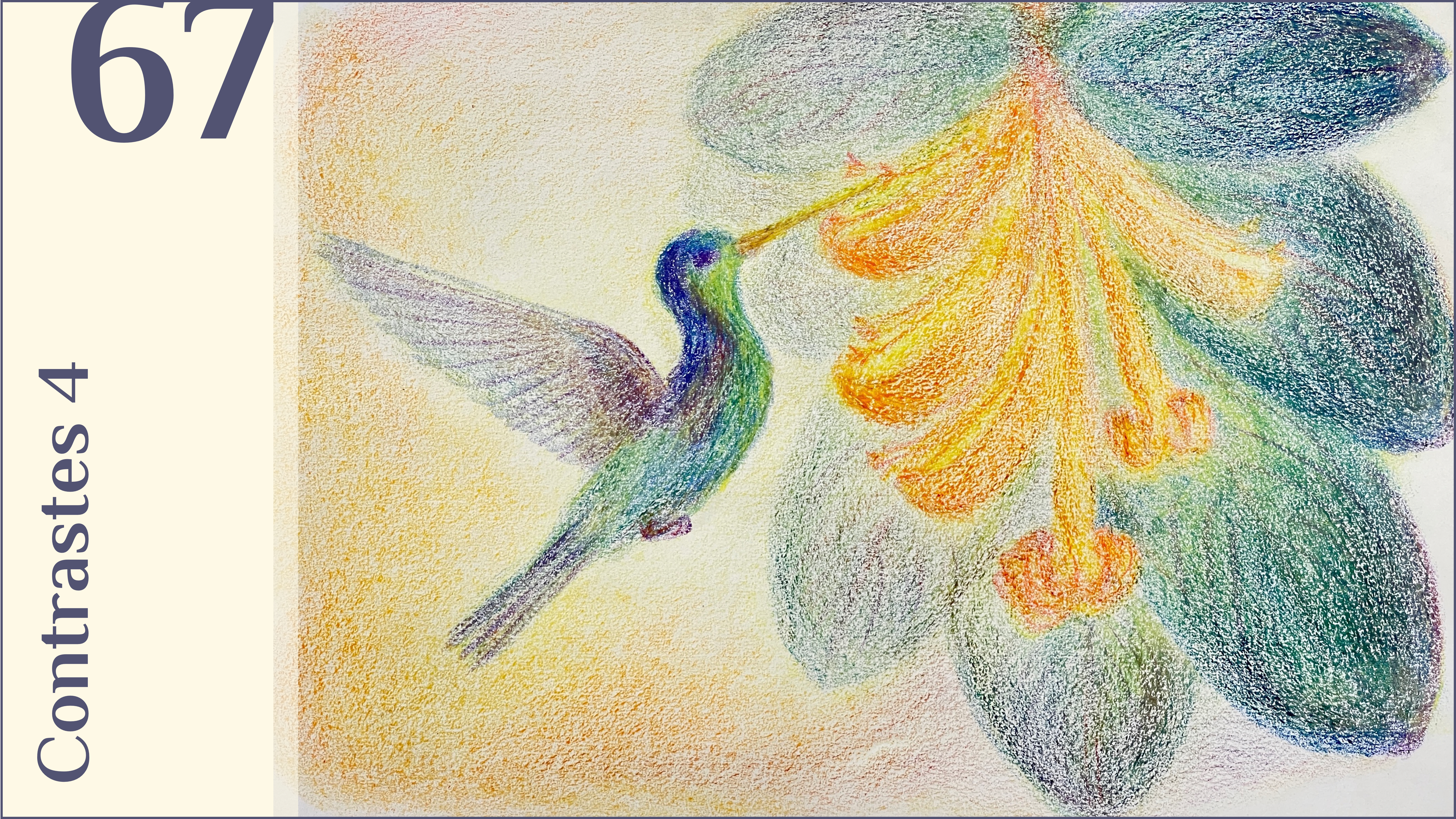 67. Contrastes 4
