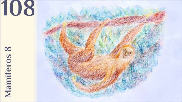108. Mamíferos 8