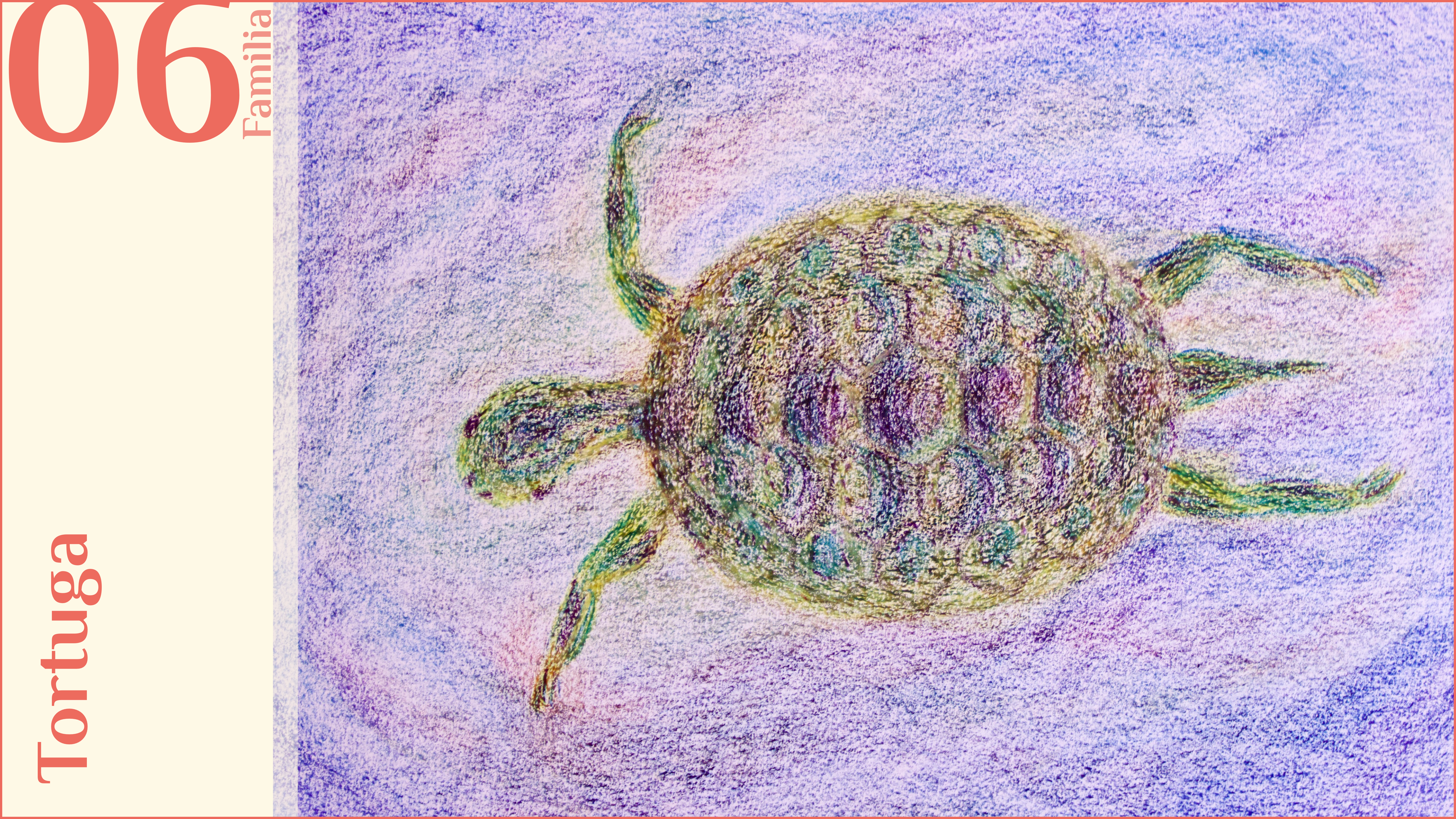 F06. Tortuga
