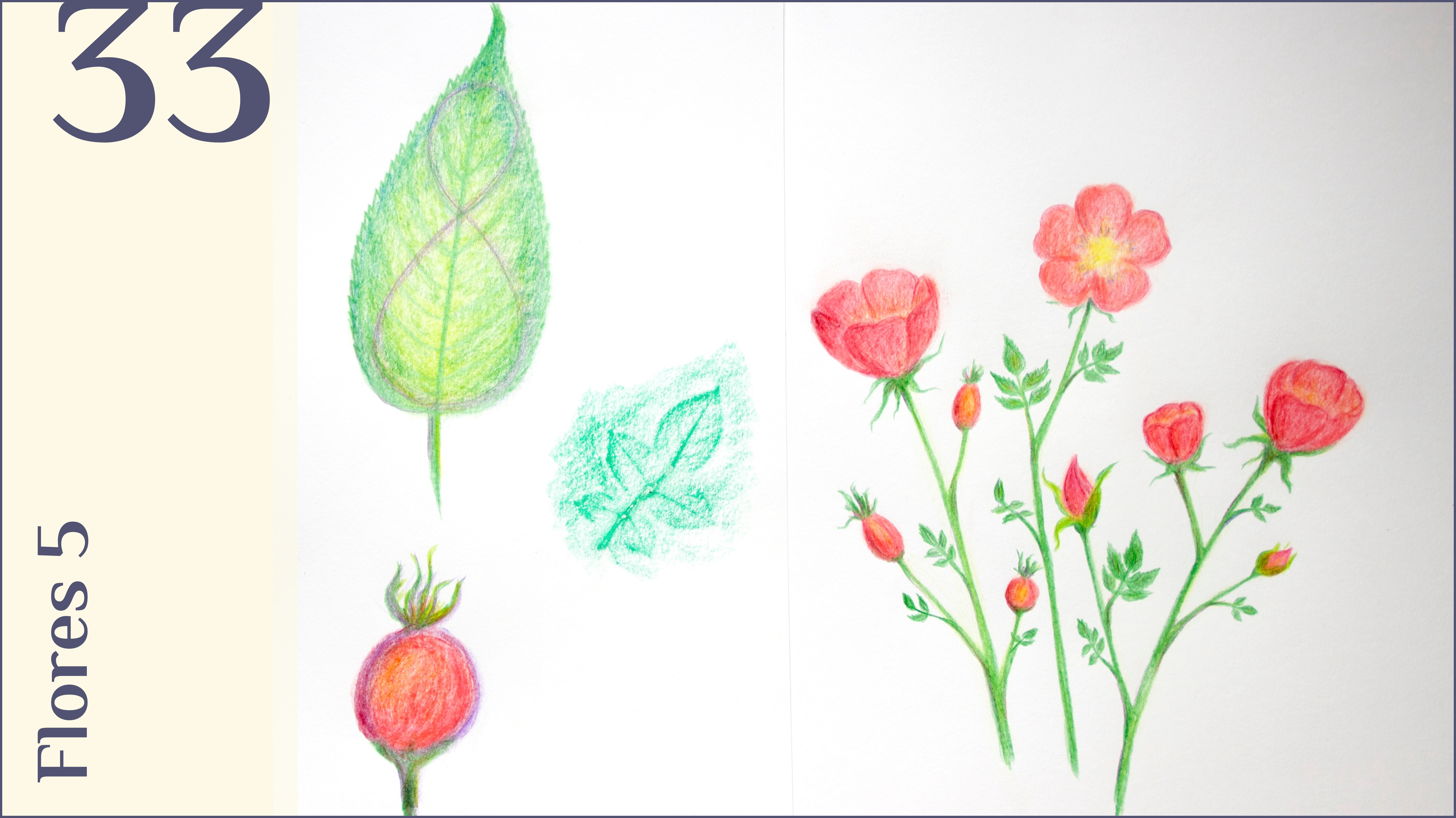 33. Flores 5