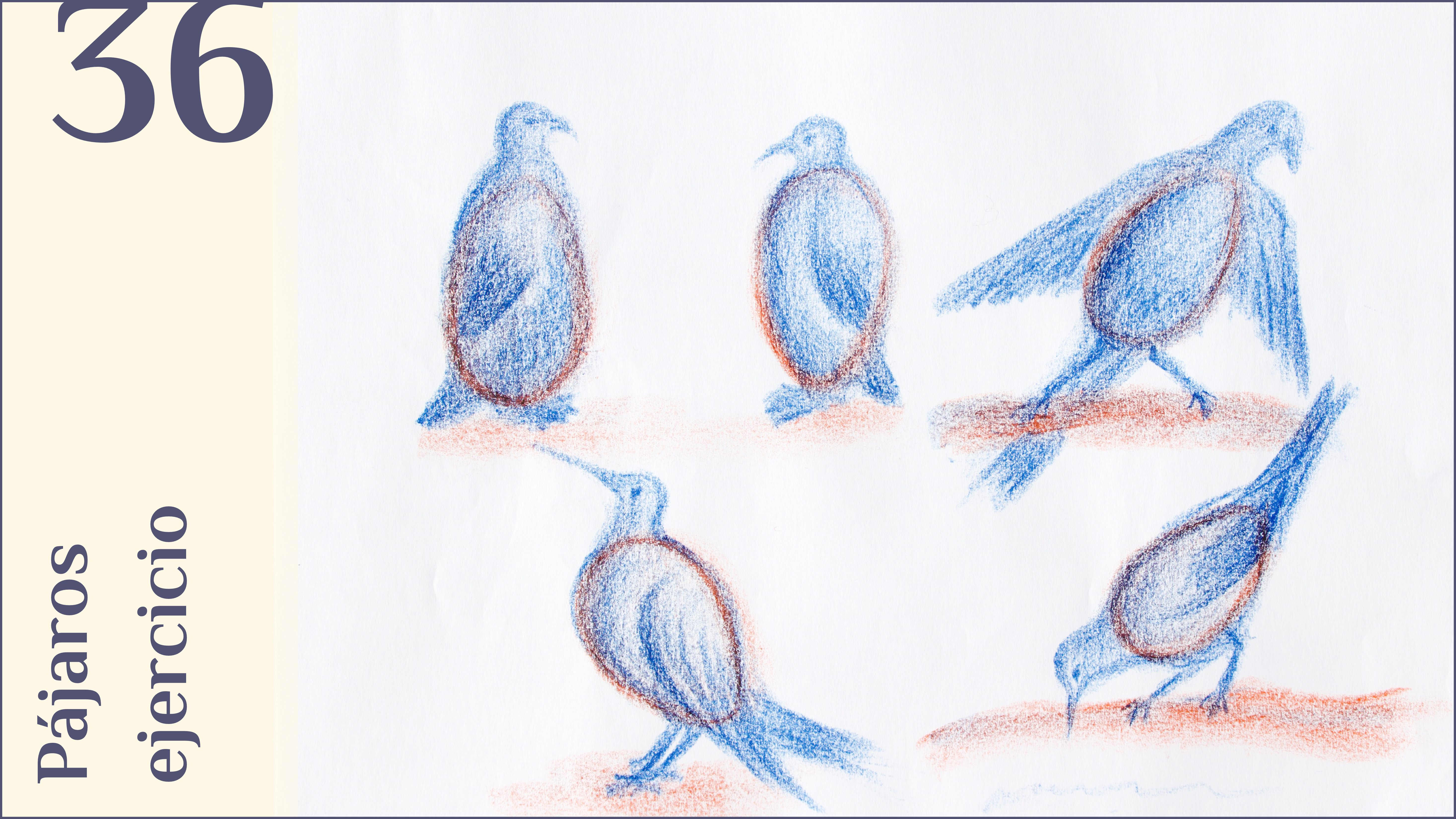 36. Pájaros, ejercicio