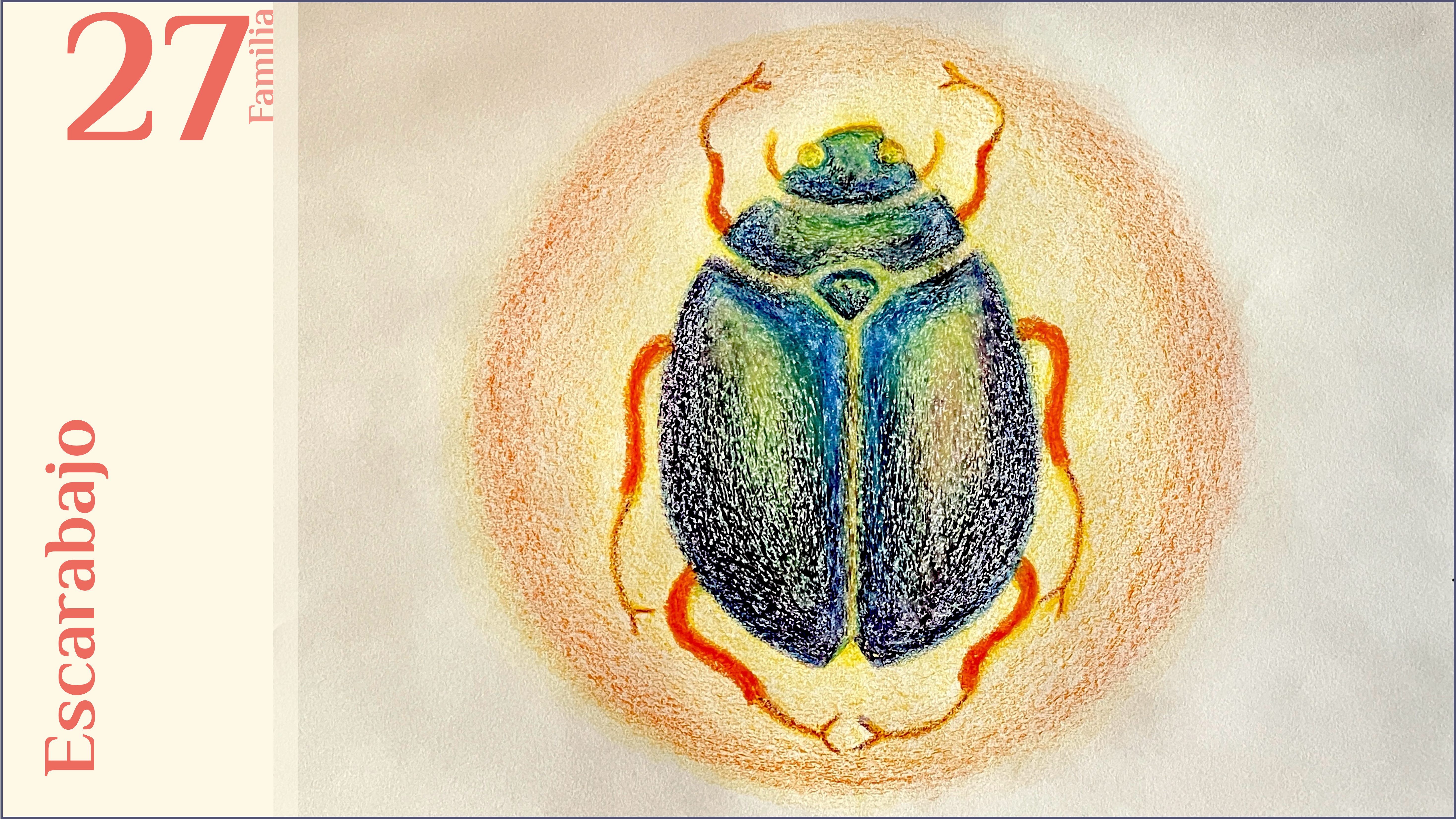 F27. Escarabajo