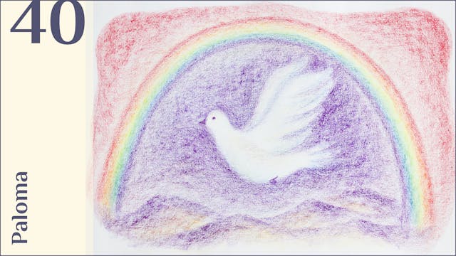 40. Paloma