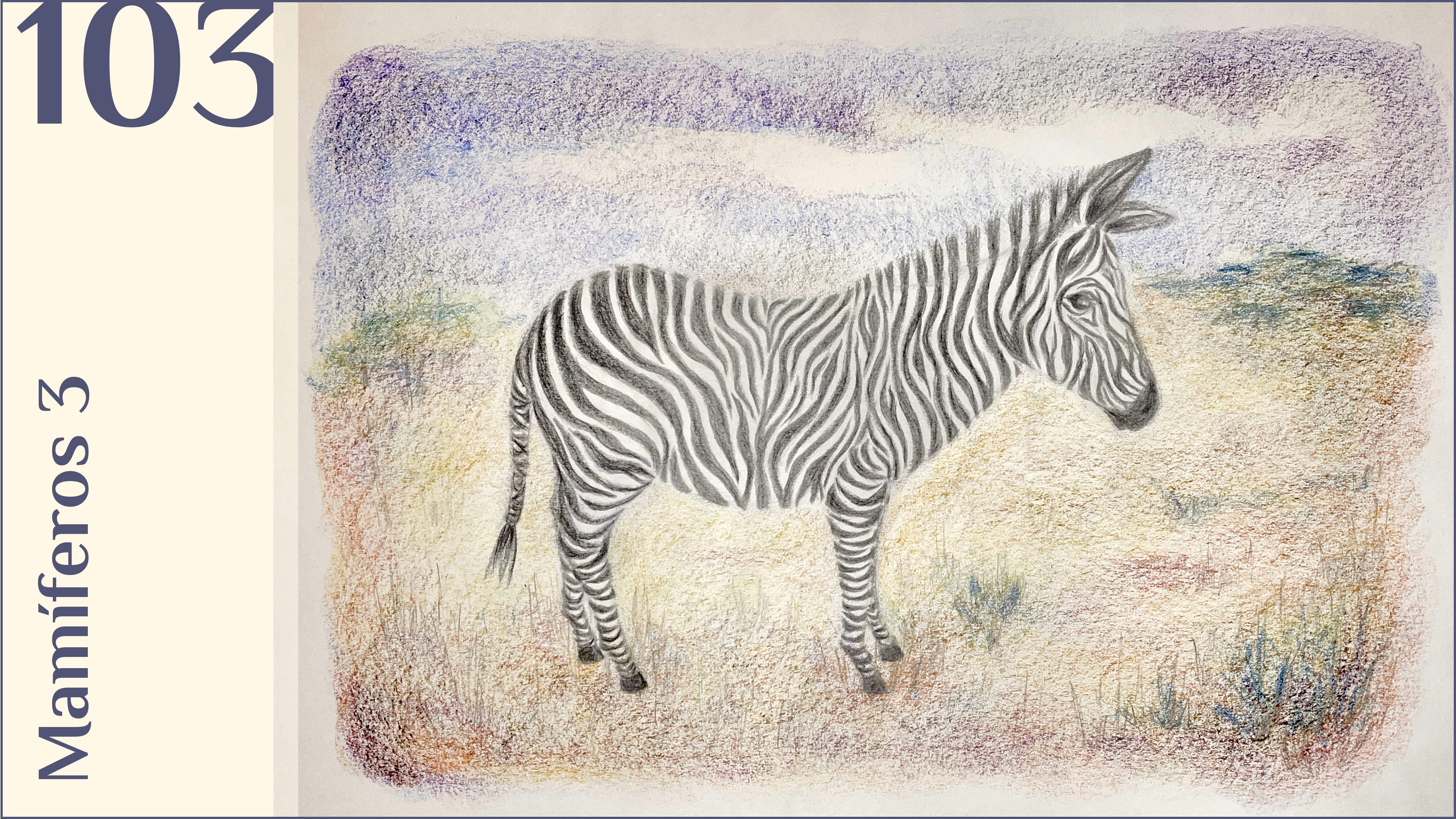 103. Mamíferos 3