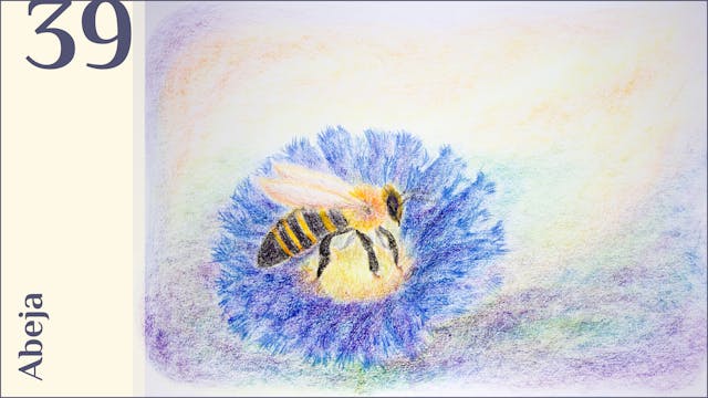 39. Abeja