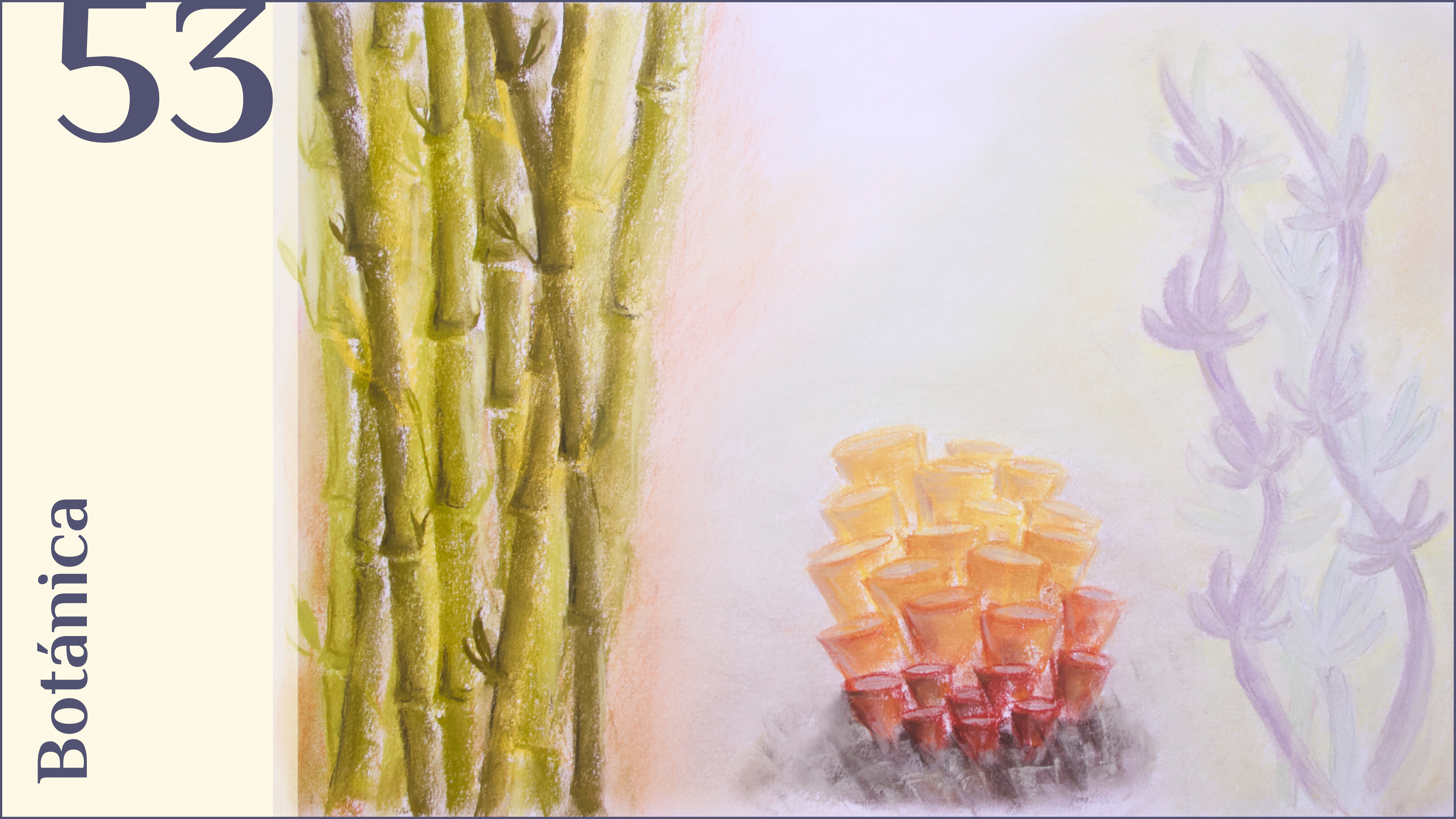 53. Botánica