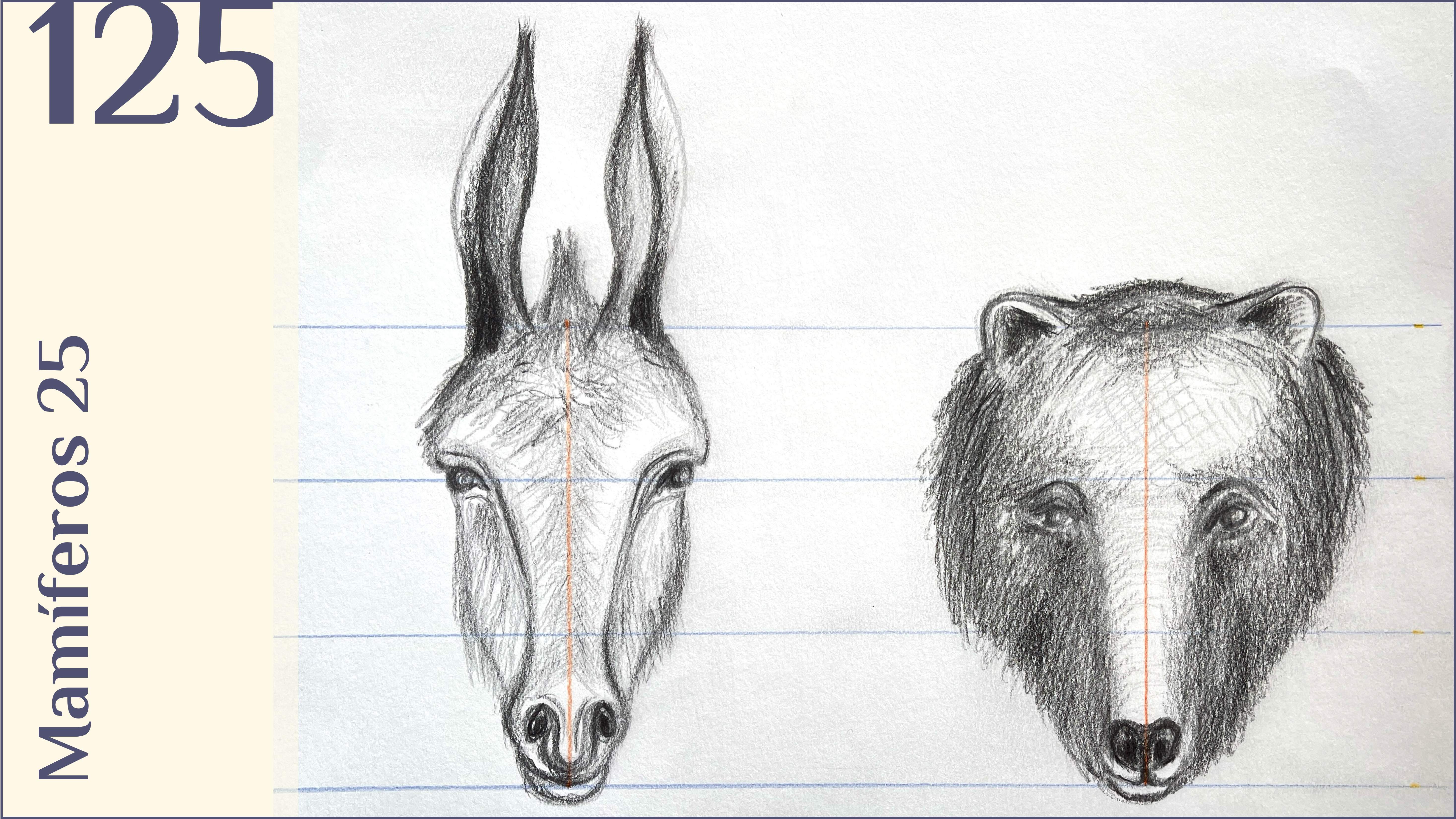 125. Mamíferos 25