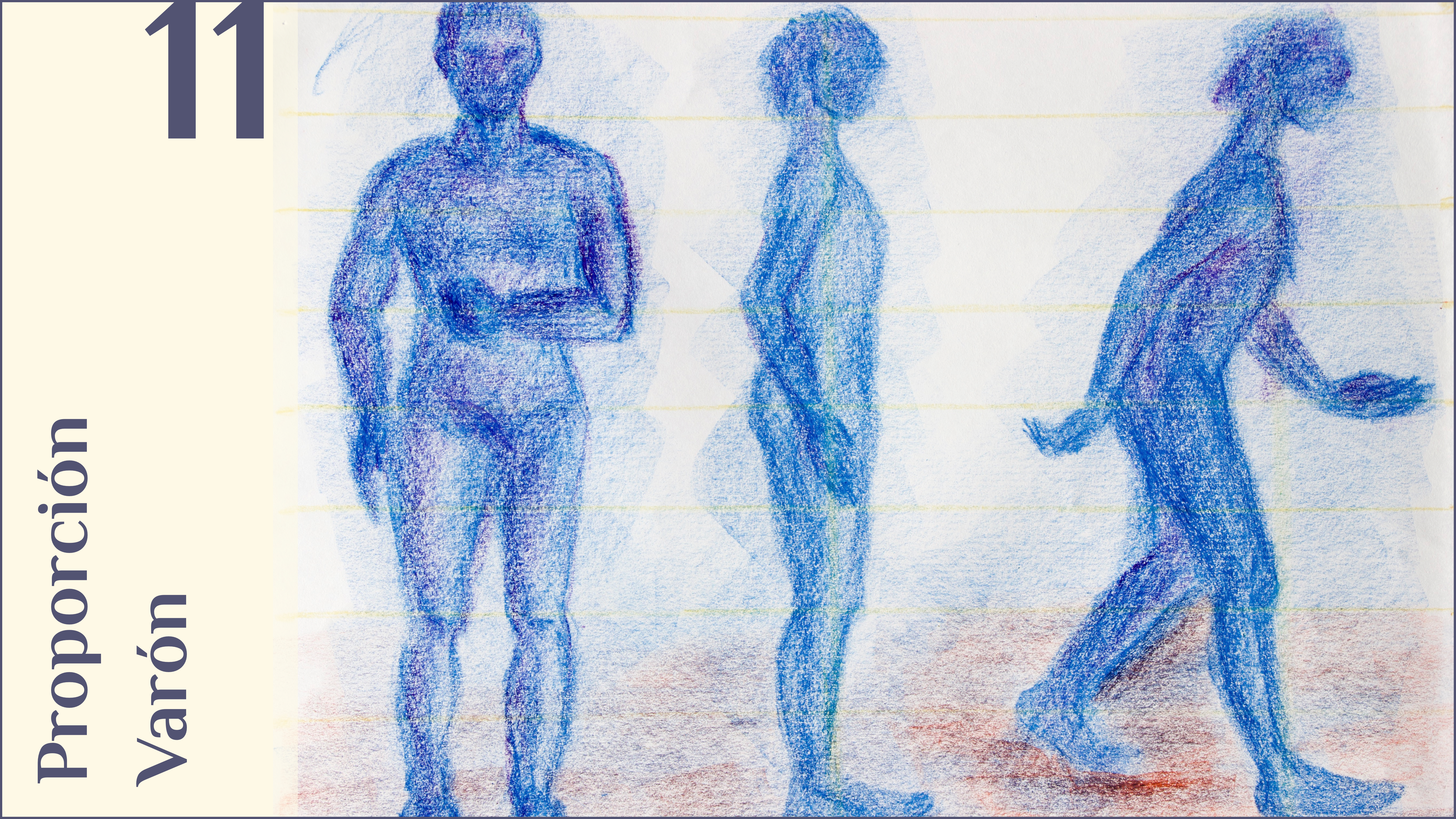 11. Proporción varón