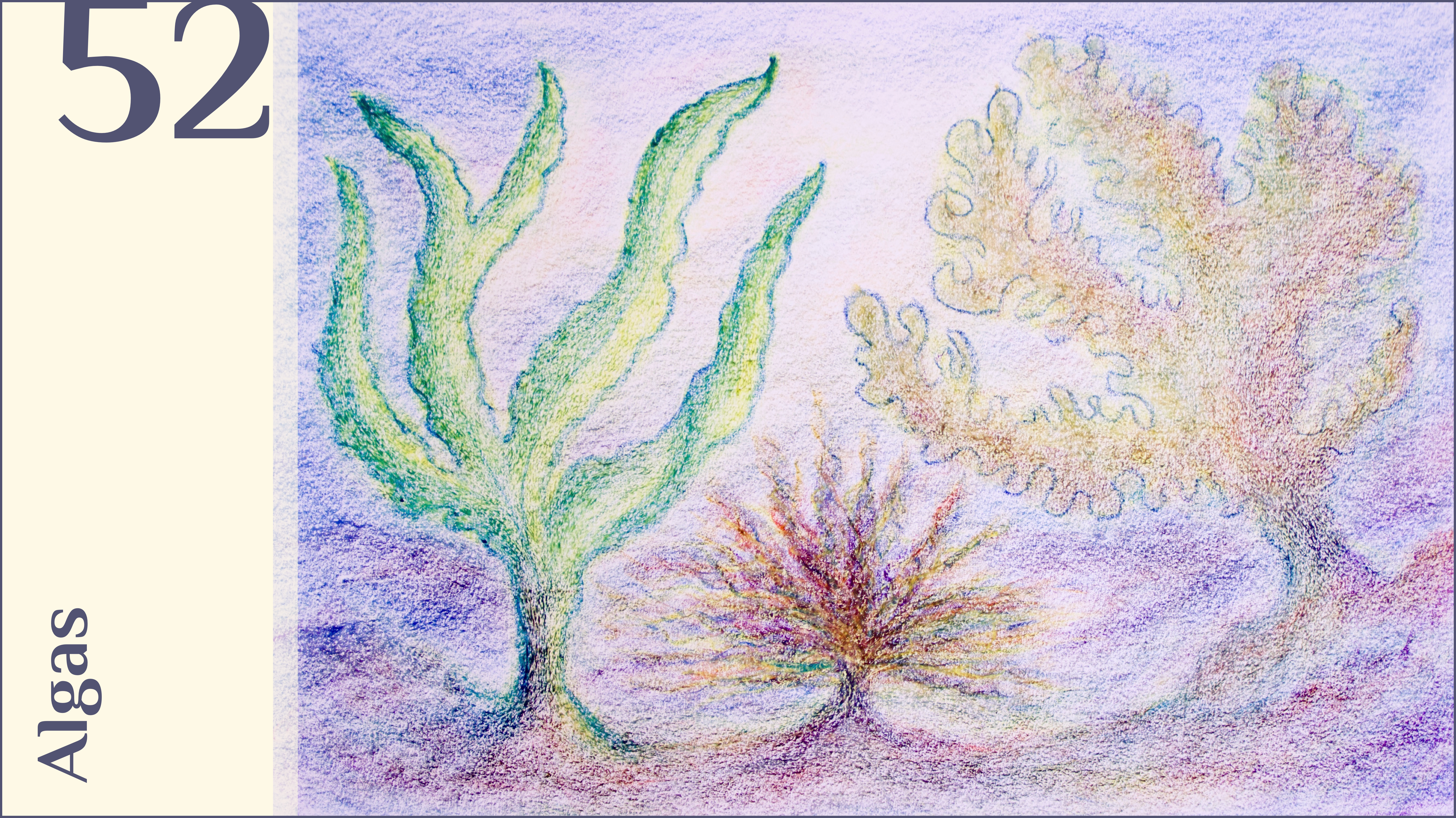 52. Algas