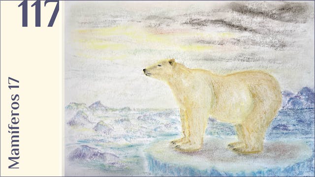 117. Mamíferos 17