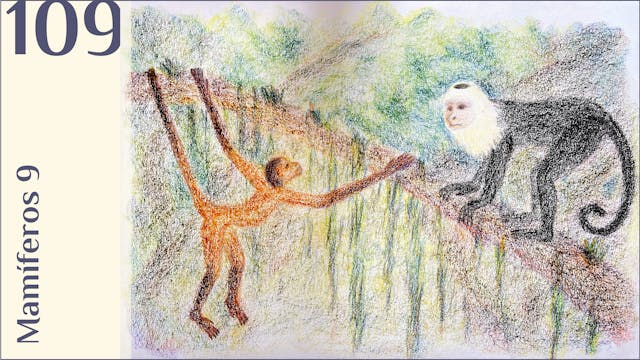 109 Mamíferos 9