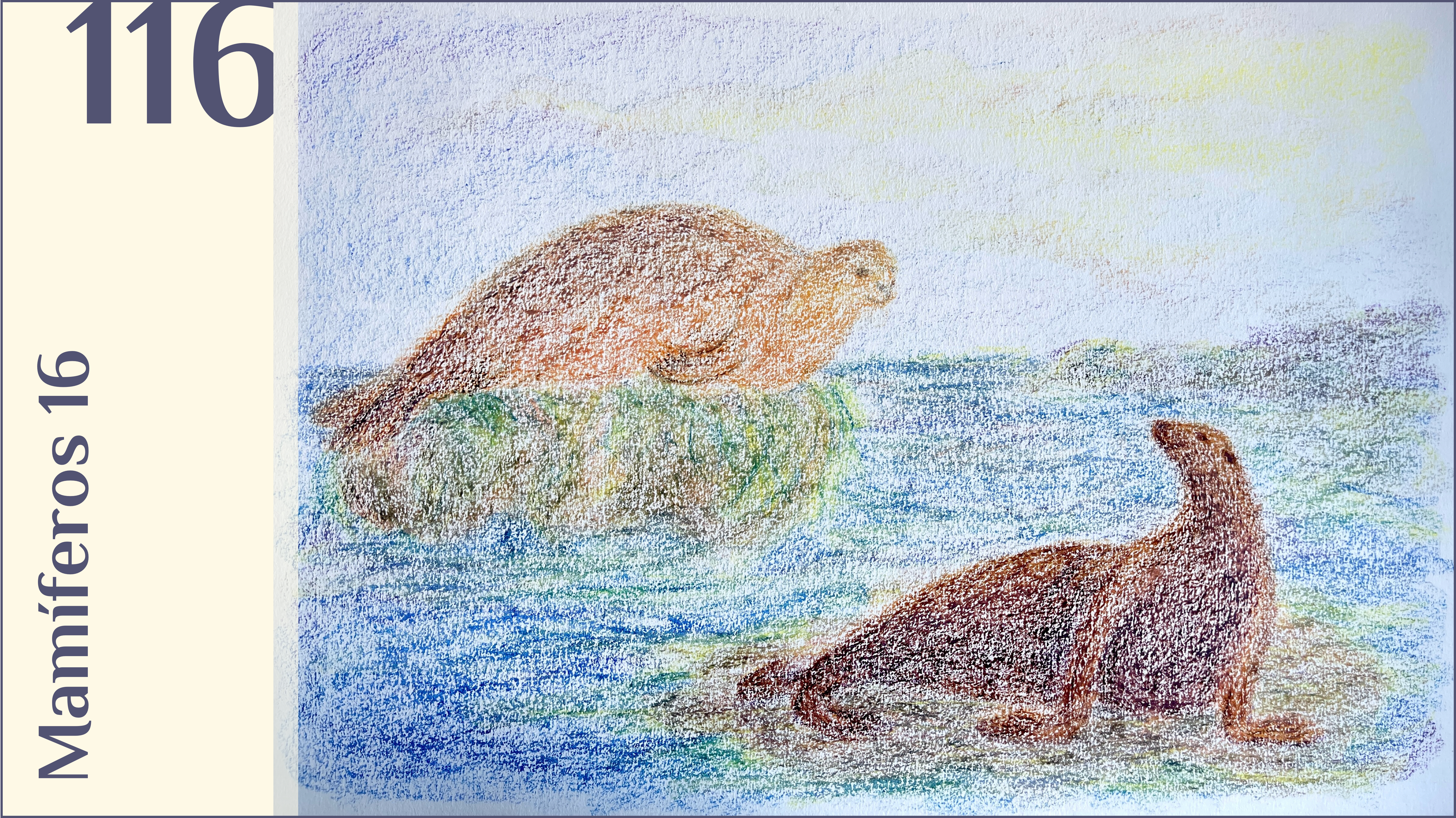 116. Mamíferos 16