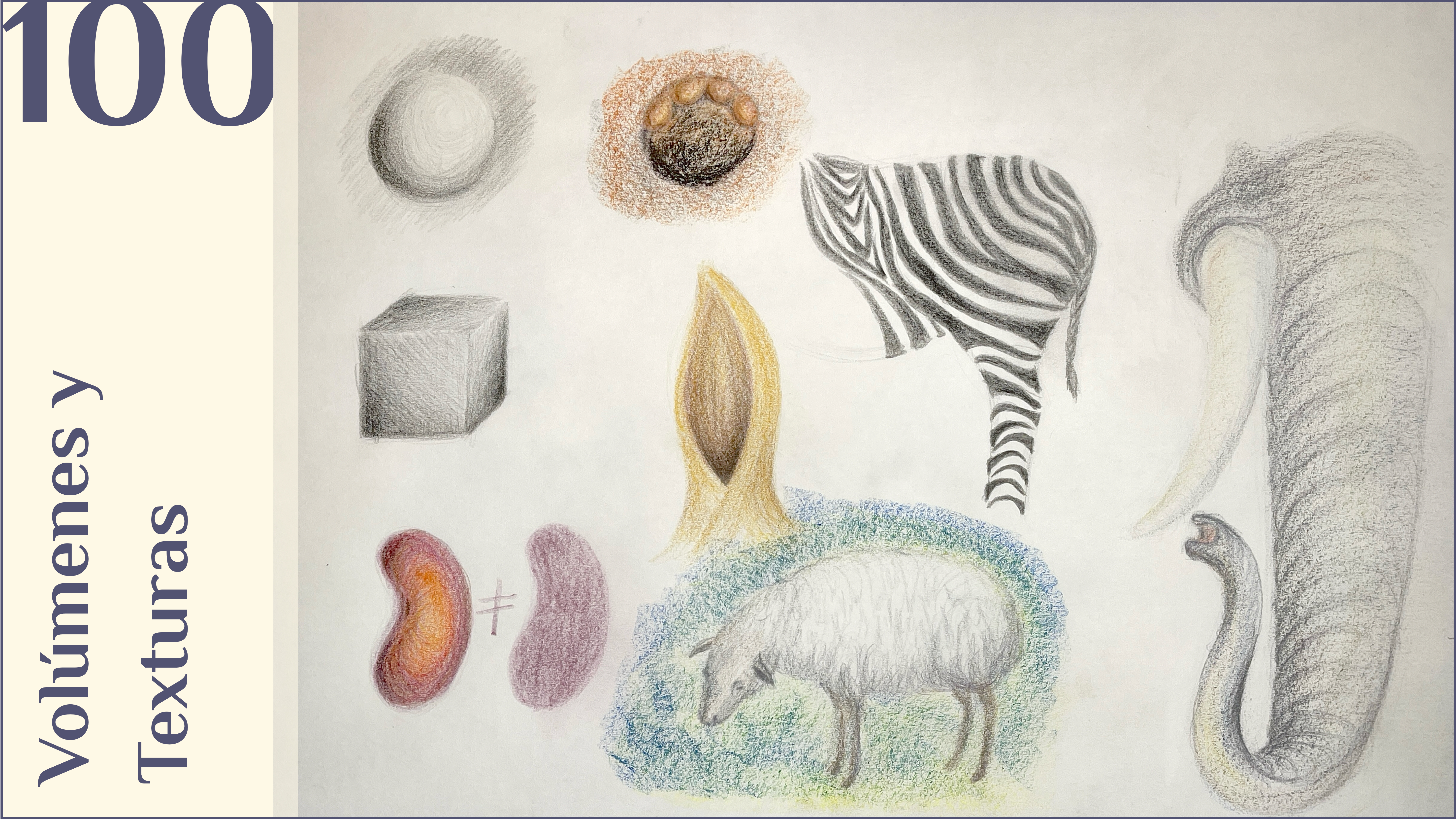 100. Volúmenes y texturas