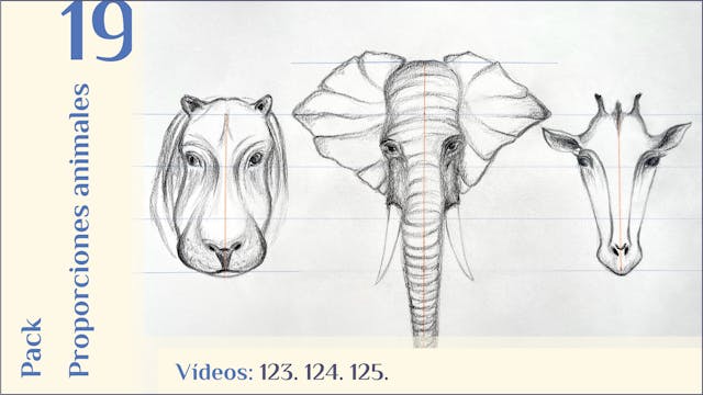 Pack 19,"PROPOR. CABEZAS ANIMALES", con 3 vídeos