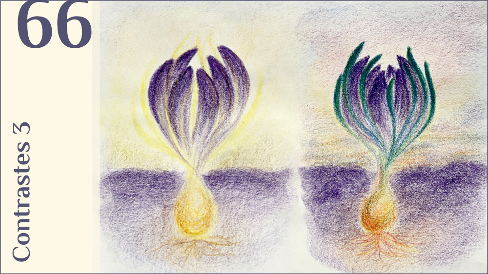 66. Contrastes 3