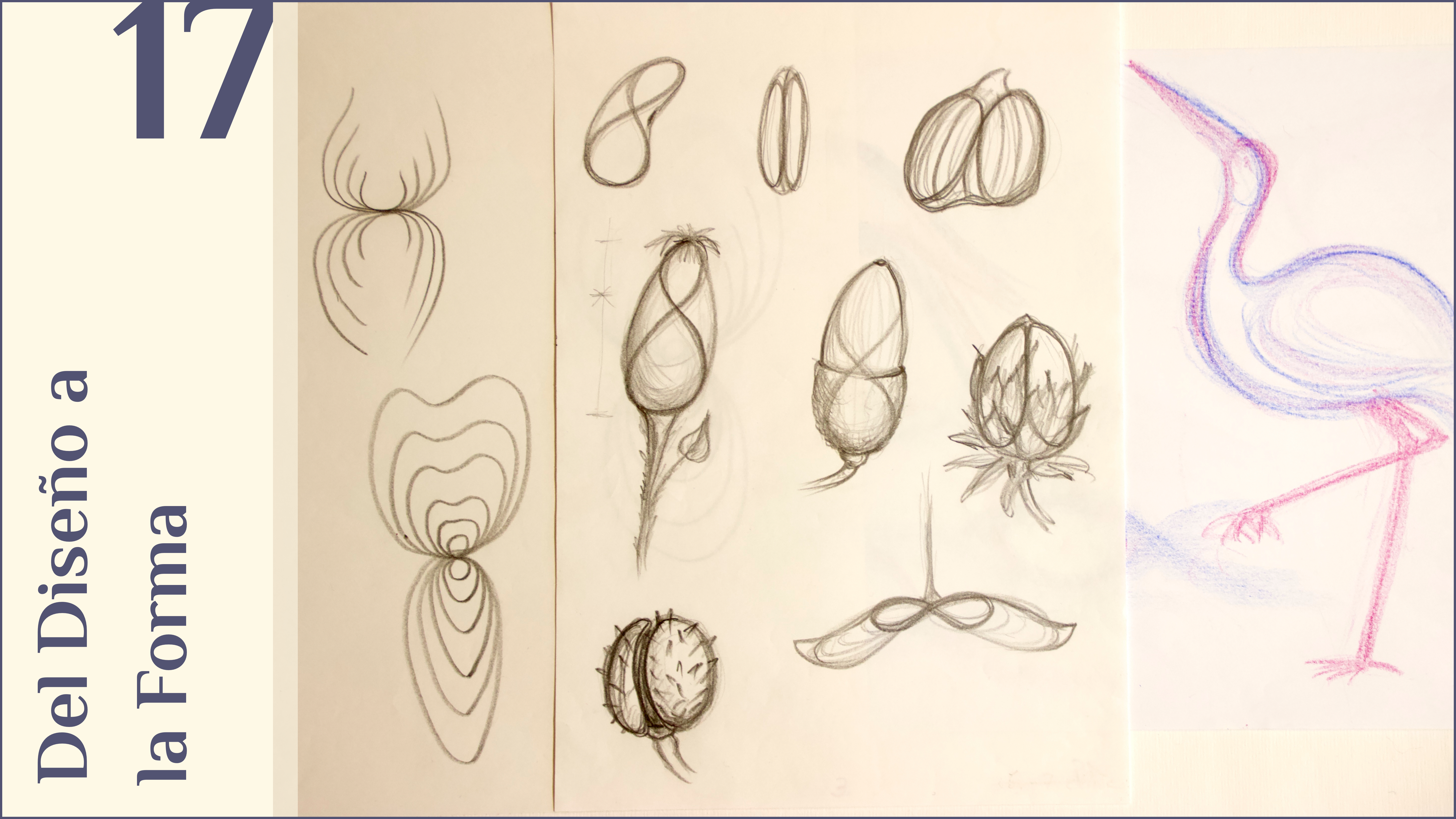  17. Del Diseño a la Forma