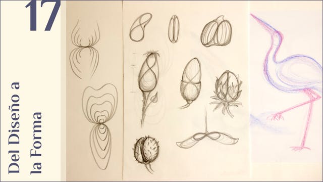 17. Del Diseño a la Forma