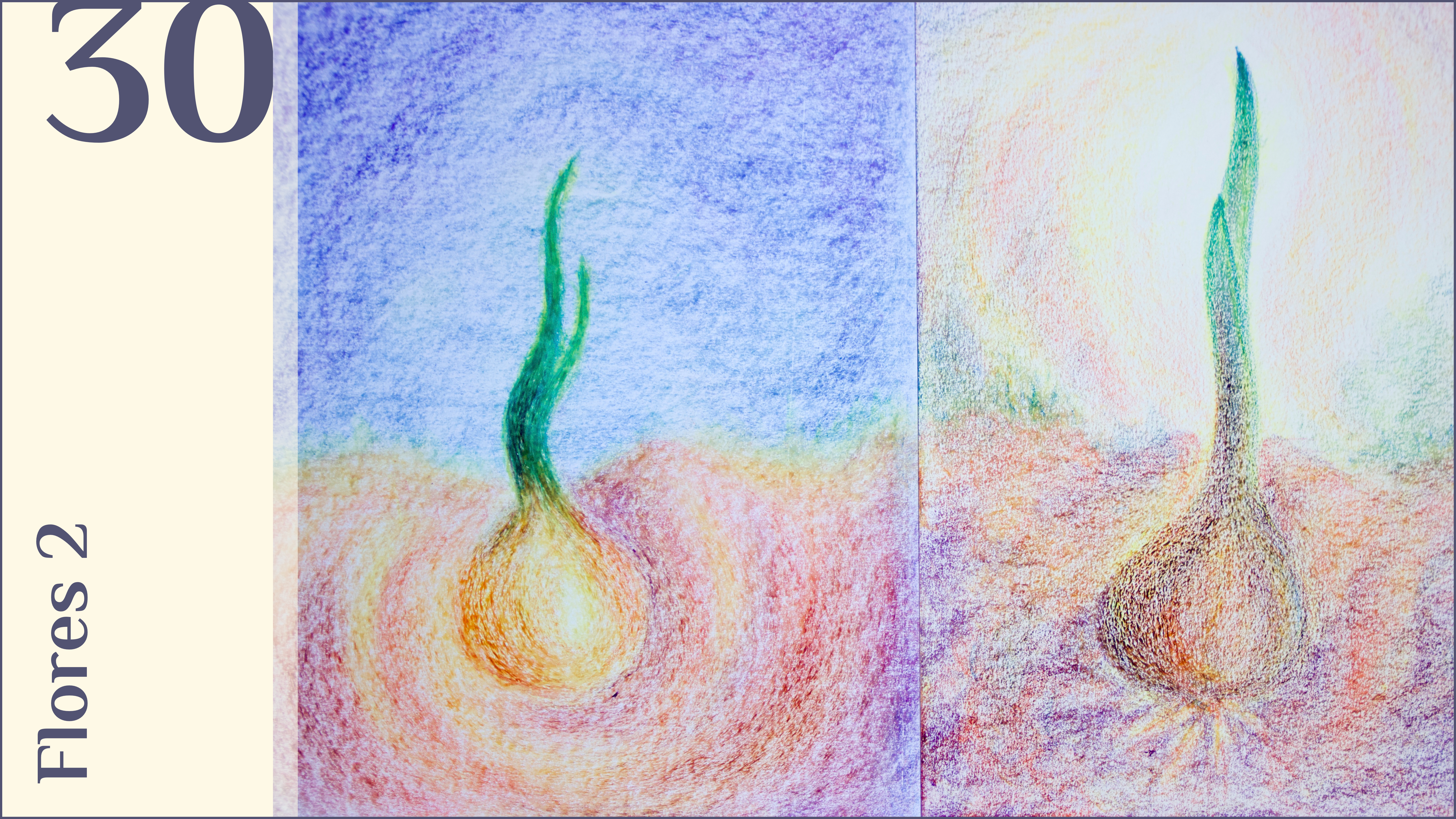 30. Flores 2