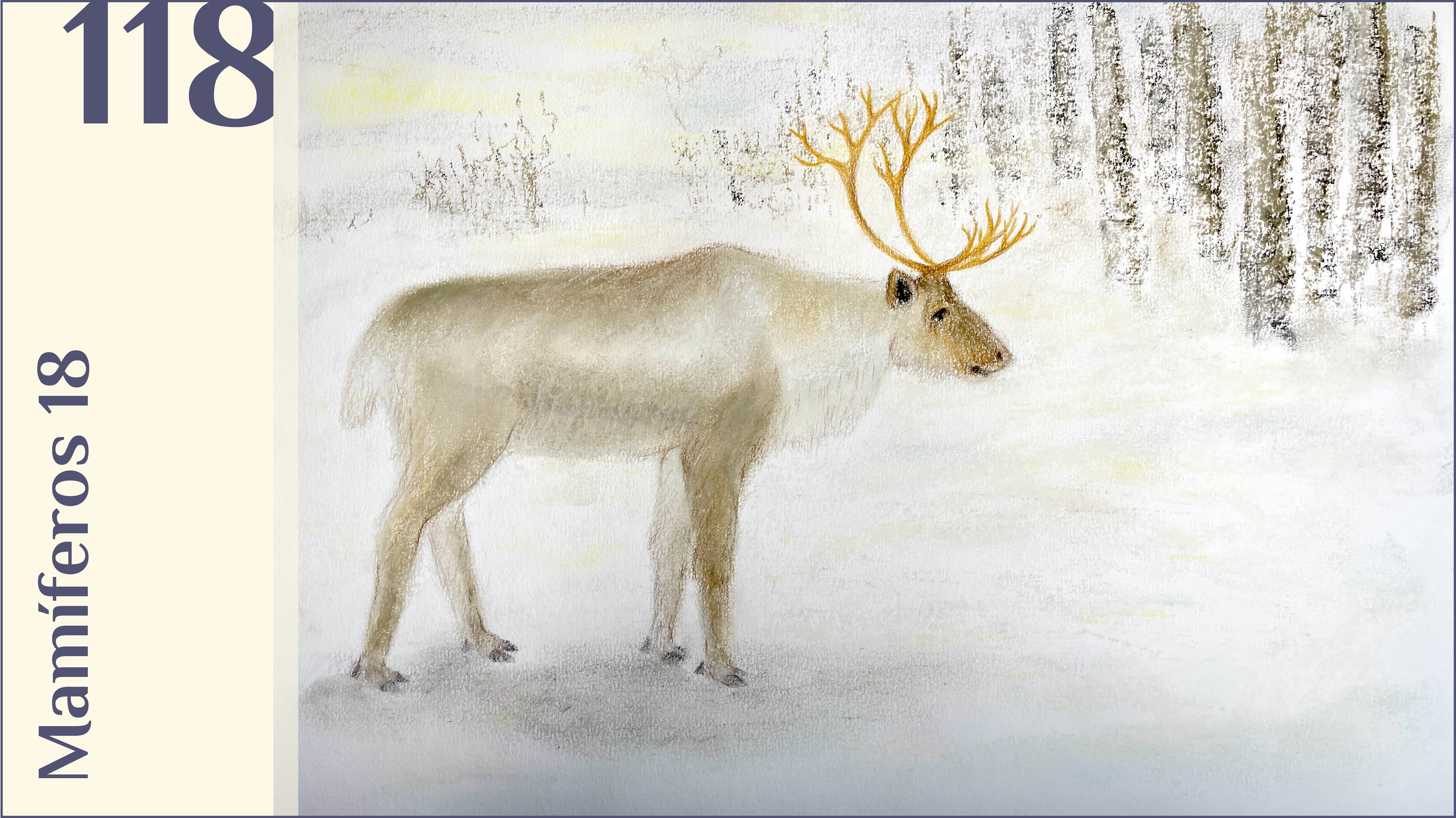 118. Mamíferos 18