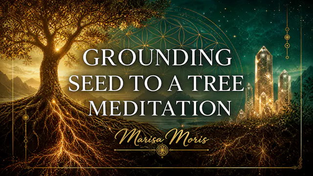 Grounding Seed to a Tree Meditation 