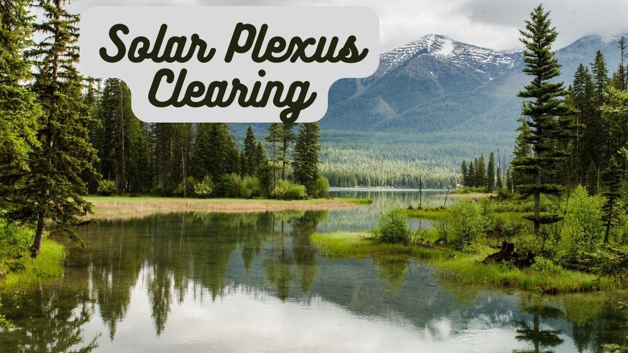 Solar Plexus Deep Cleaning-Class Package!