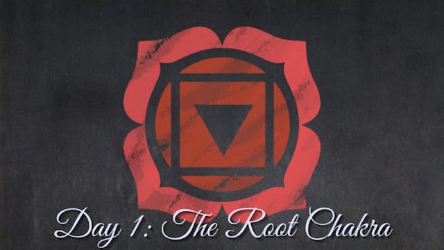 Day 1 Root Chakra Replacement using Psychic Surgery