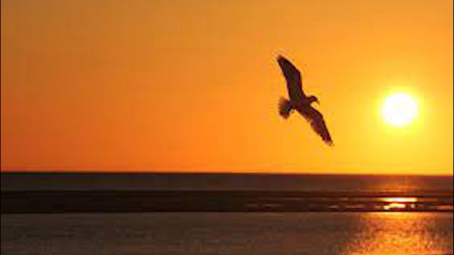 Emotional Body for Soul House HHR 011618 meditation V