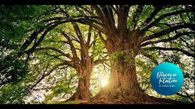 2 Min Grounding Become The Seed To A Tree V