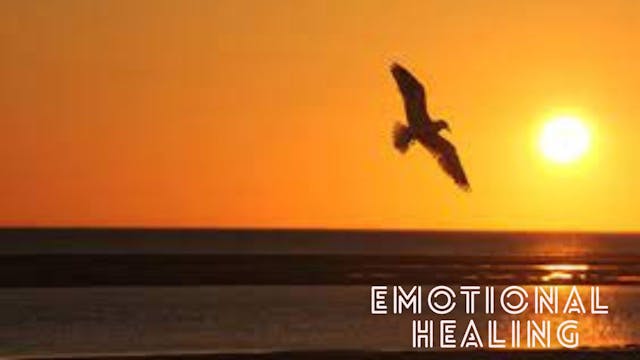 Emotional Healing 