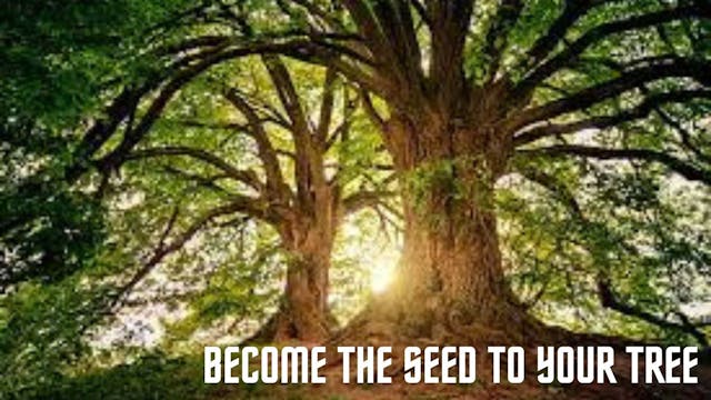 Grounding Seed to a Tree Meditation 