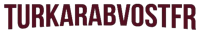 TurkArabVOSTFR