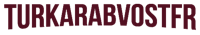 TurkArabVOSTFR