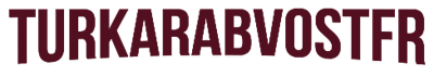 TurkArabVOSTFR