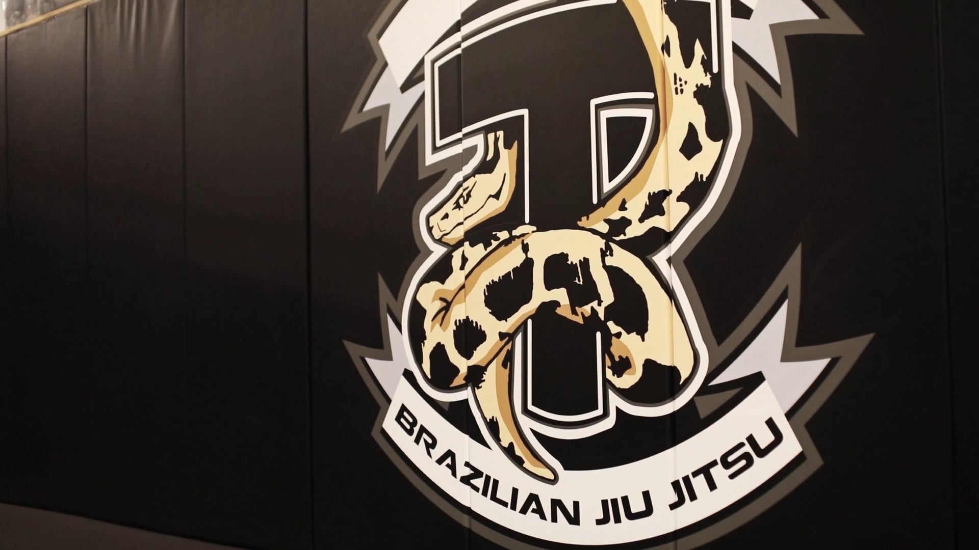 Stuart Cooper long version CFX