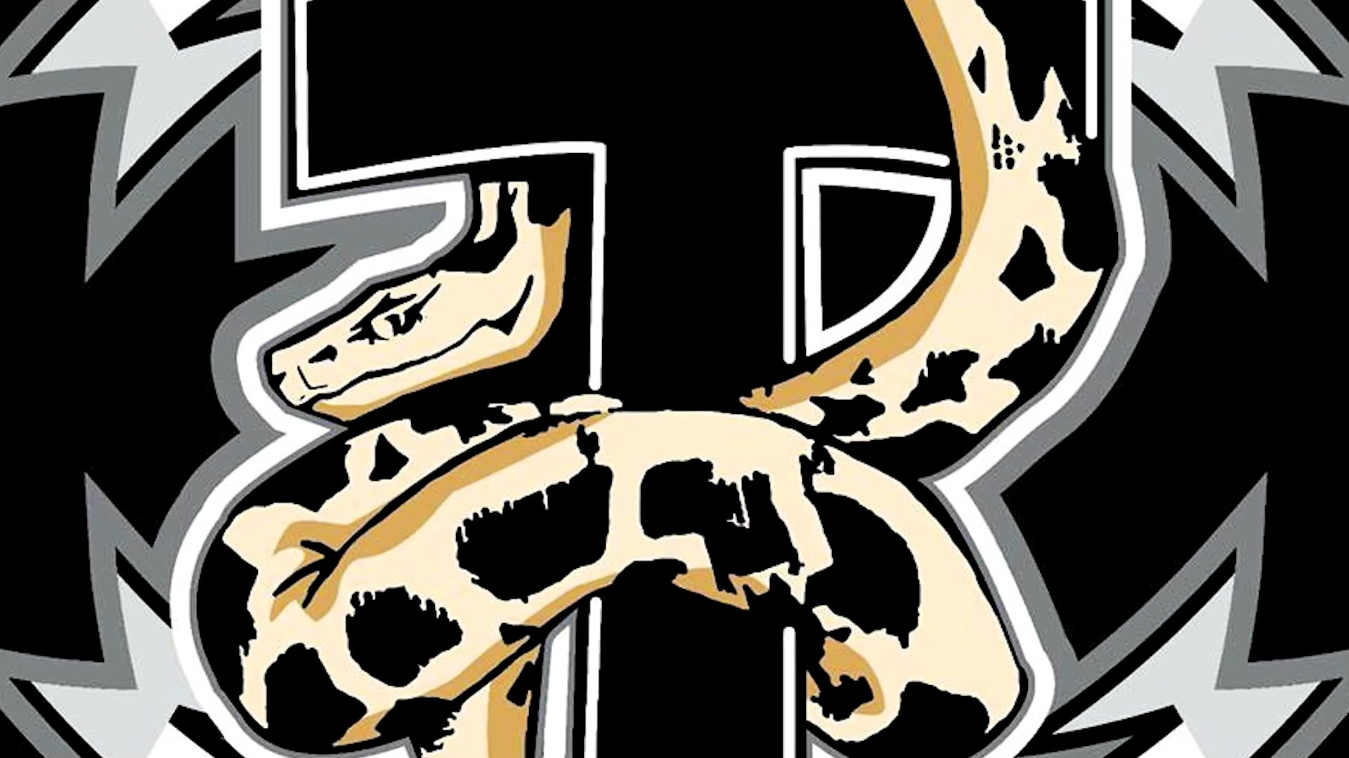 W15 Nogi - Bottom Half Guard 4