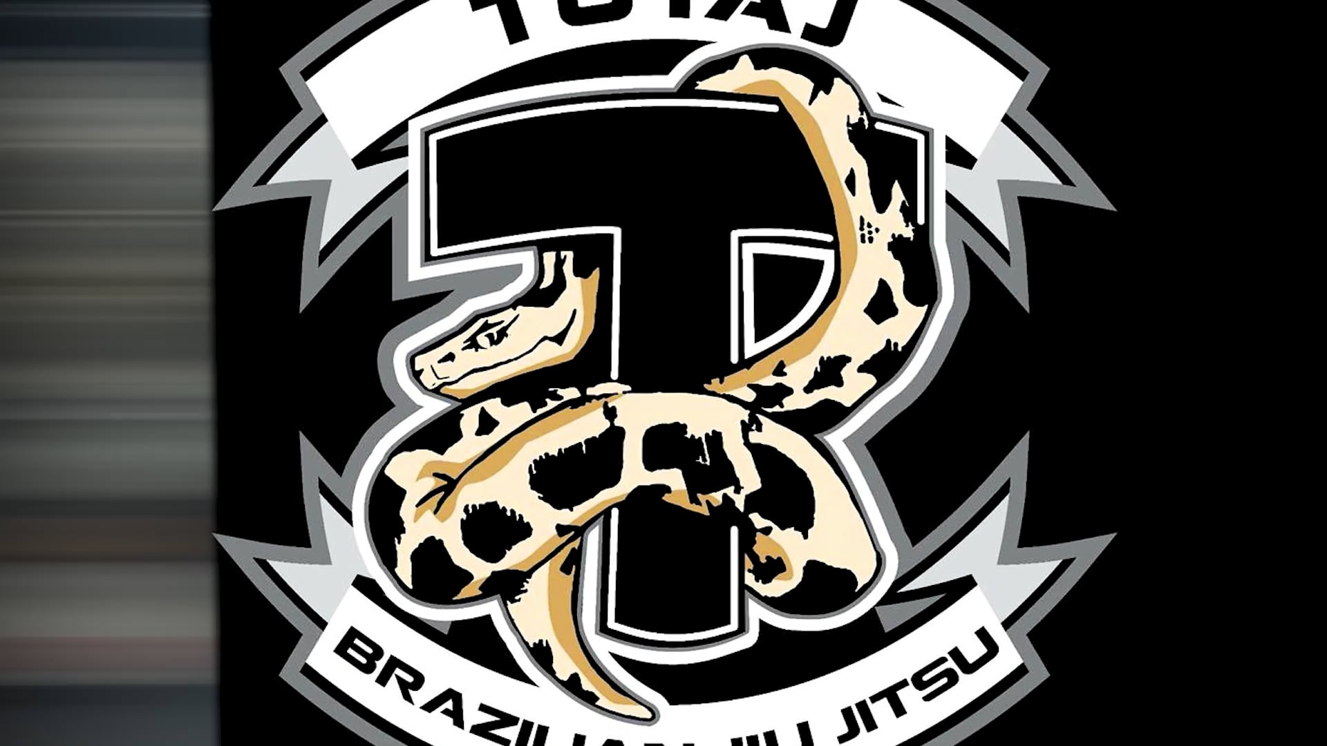 W12 Gi - Closed Guard - Opponent Standing 3