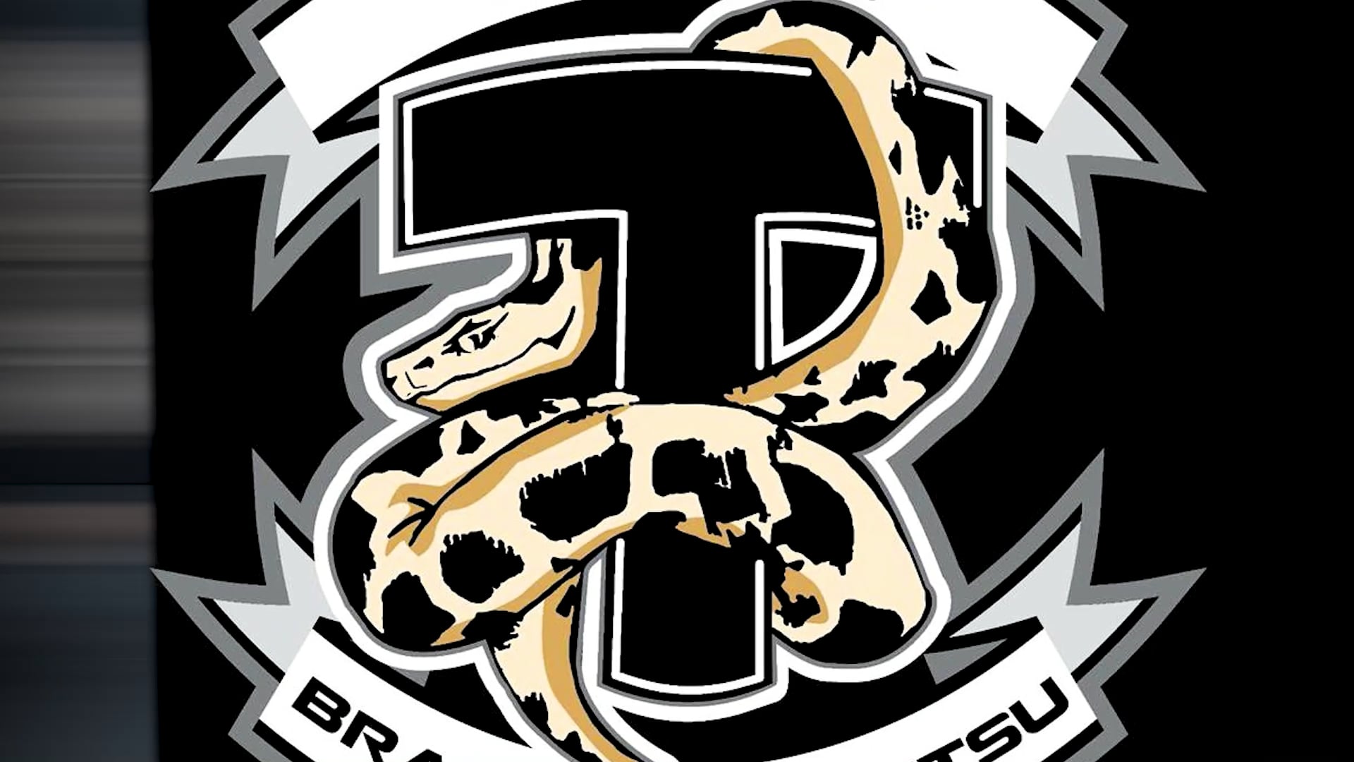 W09 Nogi - Closed Guard - Kimora, Hip Bump and Guillotine 3